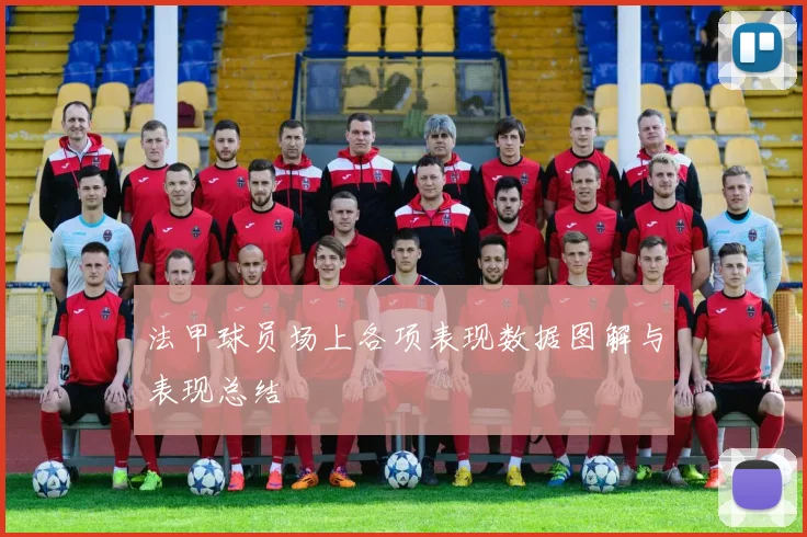 法甲球员场上各项表现数据图解与表现总结