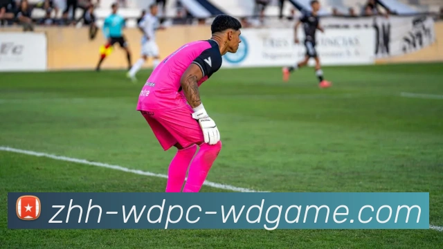 问鼎娱乐APP 体育赛事宣传图